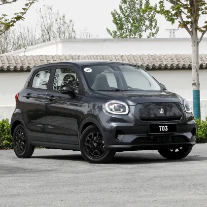 Leapmotor T03 Electric Car for Sale - Wholesale Cheap Mini Electric Car