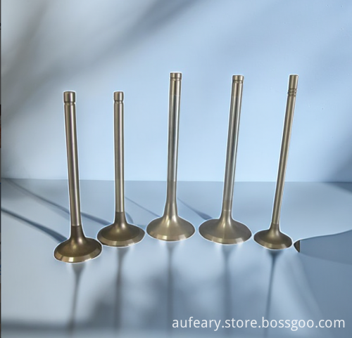 Hot Wholesale Decorative Hose Racing Seat Valves for GM Engines