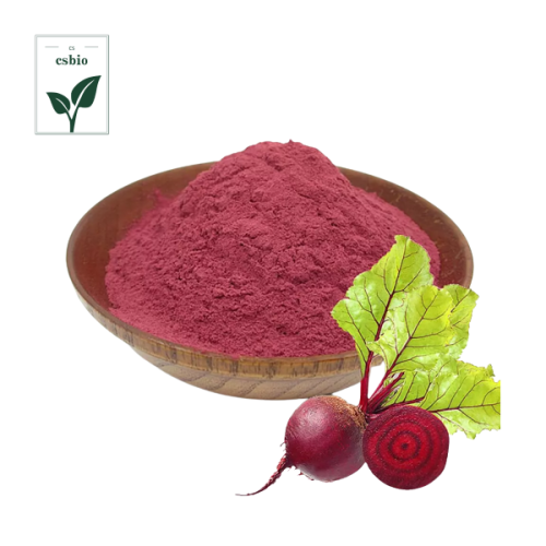 High Quality Beet root Extract