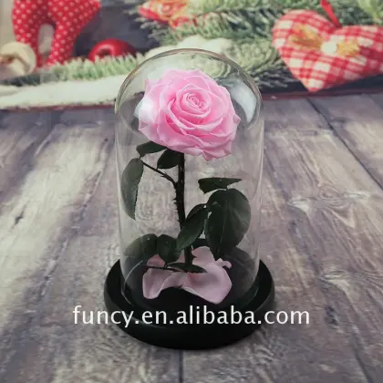 Last 5 Years Glass Cover Preserved Red Rose 'The Little Prince'