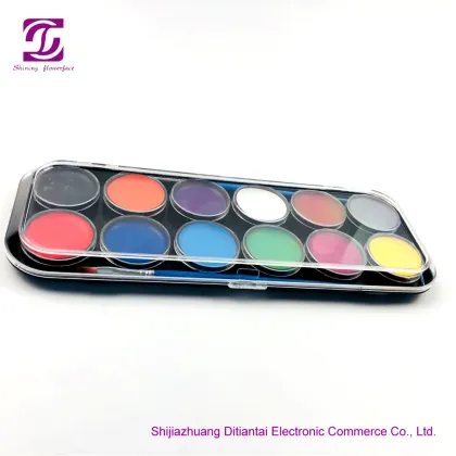 Cosmetic Grade Paints Black Face Paint Palette Kit