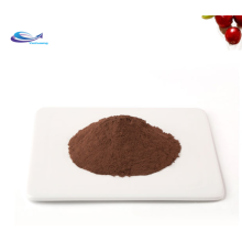 Competitive Price 10% Anthocyan Cranberry Extract Powder