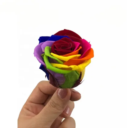 Beautiful Rose Flowers Stabilized Eternal Forever Preserved Roses