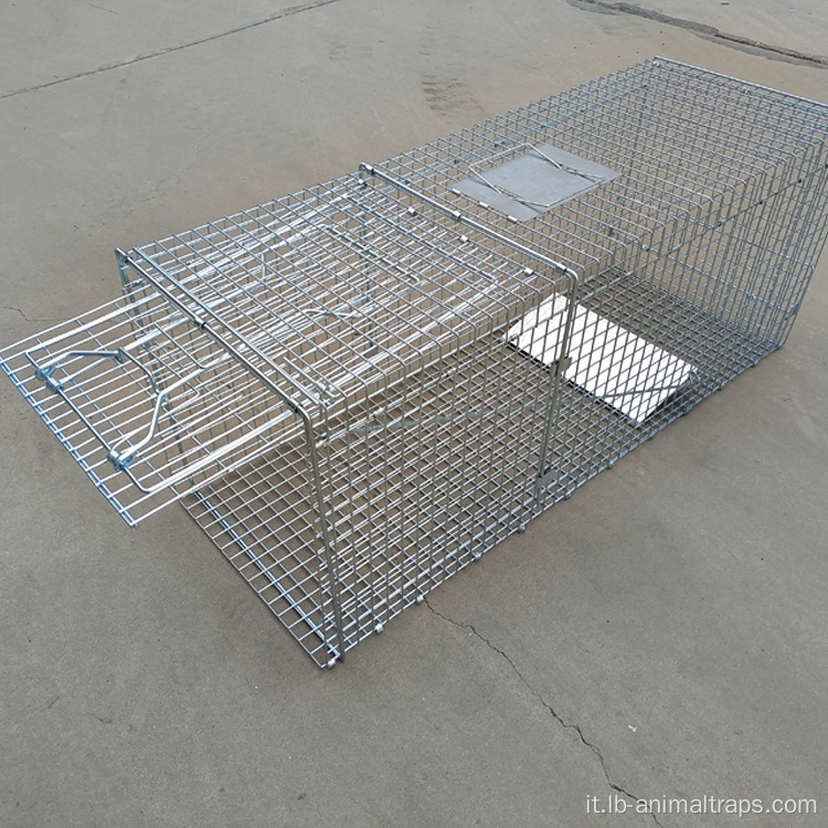 Cage di scoiattolo a roditore automatico pieghevole in vendita