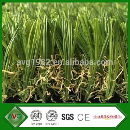 2016 AVG New Product S Shape Upright Ornamental Grasses For Shady Areas