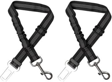 Dog Safety Belt in Car