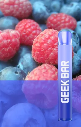 Geek Bar Disposable Vape Pen 600puffs