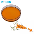 100% pure sea buckthorn seed oil organic