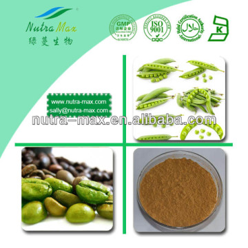 Weight Loss Green Coffee Bean Extract 10% Chlorogenic acid 50%