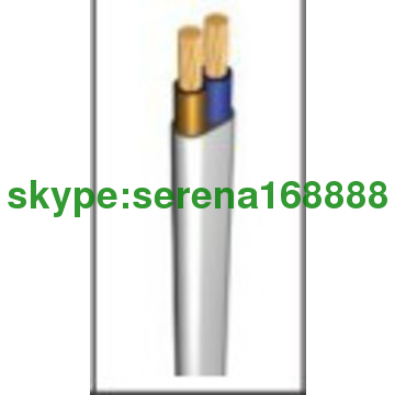 RV  CU/PVC/PVC FLEXIBLE FLAT CALBE 2*2.5mm2 H05VVH2-F 300/500V BS6500