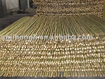 Garden bamboo fencing