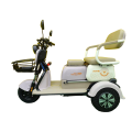 Compact Electric Tricycle for Easy Narrow Space Navigation