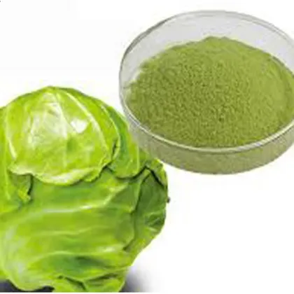 Cabbage Powder/Cabbage Extract/Cabbage Juice Powder
