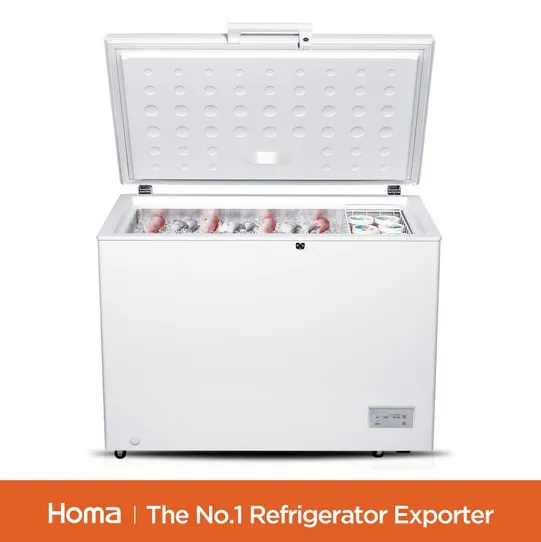 BE1-316 household White chest freezer-3