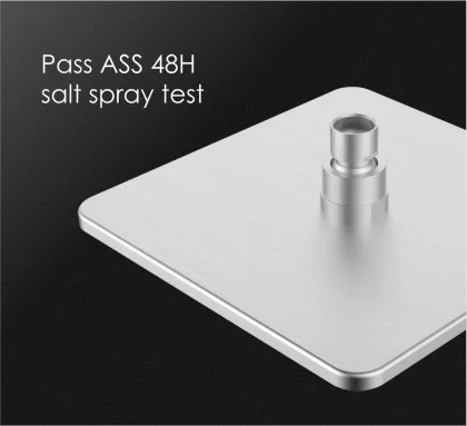 Bathroom overhead shower heated shower head