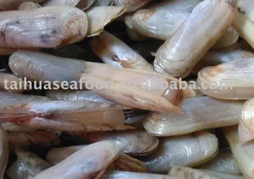 Frozen Vacuum Razor Clam