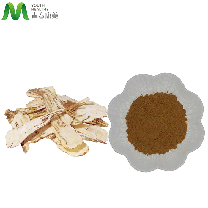 Natural Angelicae Sinensis Root Extract Powder