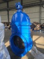 Gear-Box Resilient seat gate valve DN50-DN1200