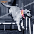 Ροζ νάυλον καμουφλάζ οδήγησε φώτα αναβοσβήνει κολάρο σκυλιών