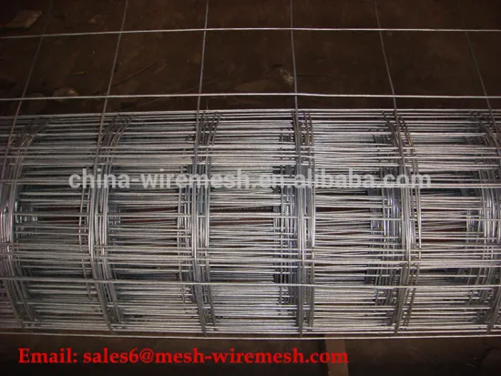 1/2'' Hot Dip Galvanized Welded Wire Mesh After Welding Made In China