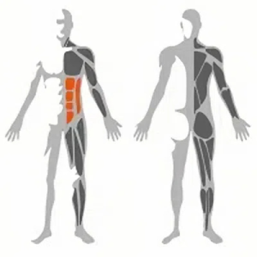 Adjustable Decline Bench Sit Up
