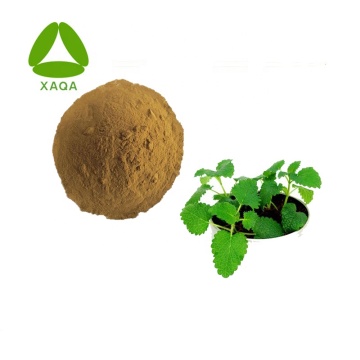 10:1 Melissa Officinalis / Lemon Balm Extract Powder