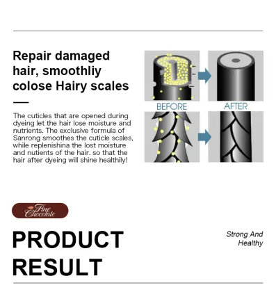 Customized Easy Color Hair Dye - Brown, Low Ammonia, Permanent Salon Professional Hair Color Dye