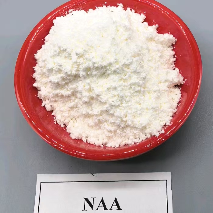 NAA- Rooting hormone-Transplant aid - Fruit thinning agent -Seedless fruit