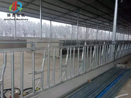 Hot Sell Cow Headlock Auto Release Cattle Stall Gate for Dairy and Beef Farms