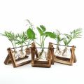 Glass and Wood Vase Planter Terrarium Table Desktop Hydroponics Plant Bonsai Flower Pot Hanging Pots with Wooden Tray Home Deco