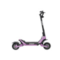 Napakahusay na 2 wheel electric scooter na si Adault