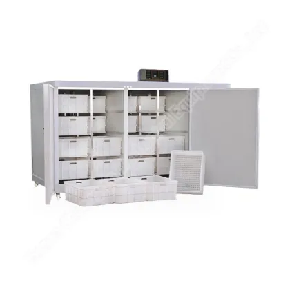 Electric Automatic Bean Sprout Maker for Cleaning and Sprout Making