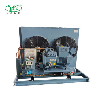 Piston Compressor Condensing Unit for Cold Room