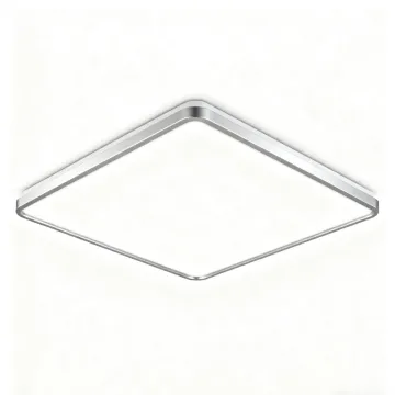 LED Ceiling Light for Interior Style
