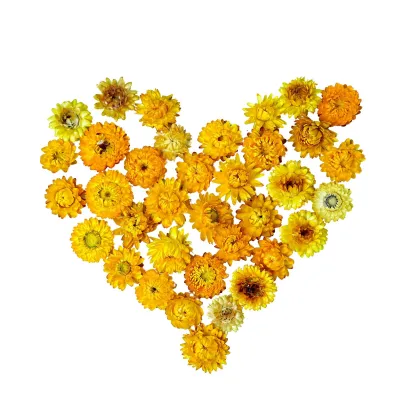 High Quality Scented Flower Tea - Chinese Blooming Chrysanthemum Tea