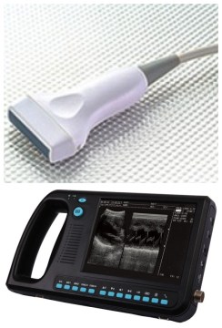 7.5 MHz Linear Transducer for B Ultrasound (PRO-BCM300)