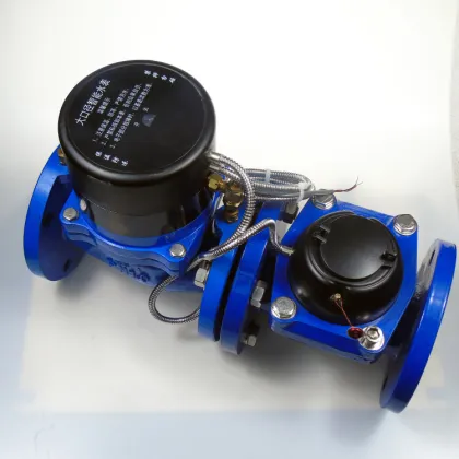 Direct-Reading Remote Water Meter Dry-Dial Basic Meter with Valve for LoRa, Smart Water Meter (No Electric Parts)