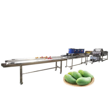 Macchine di lavorazione della frutta e verdura di fabbrica: lavaggio, ceretta, asciugatura e classificazione