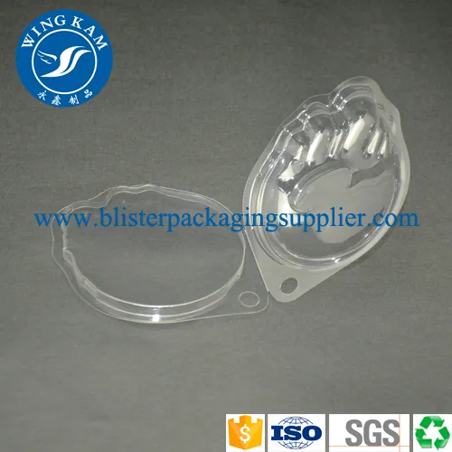 Clamshell Packaging Plastic for Product