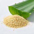 Cncsbio rhein powder for sale