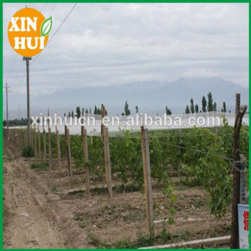 anti hail net for agriculture application