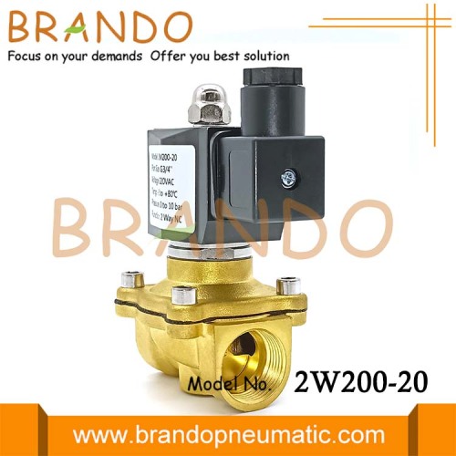 2W200-20 3/4 &#39;&#39;2 웨이 정상 직접 직접 연기 놋쇠 솔레노이드 워터 밸브 12V 24V 110V 220V DC AC