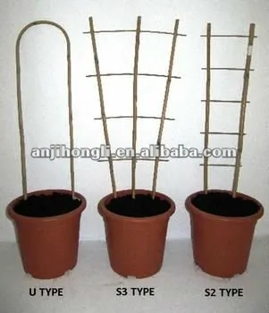Hooped Bamboo Cane Trellis