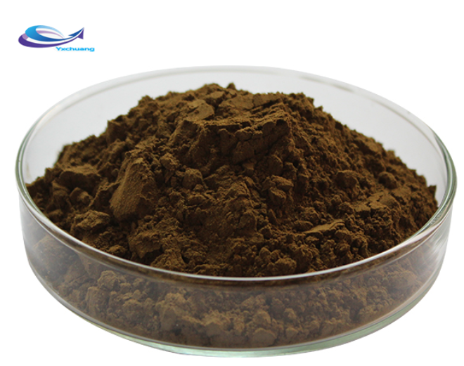 Chaga Mushroom Extract