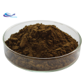 Best Quality Chaga Mushroom Extract