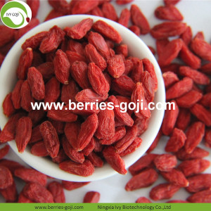 Factory Wholesale Nutrition Natural Malaysia Goji Berry