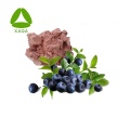 Anti-oxidant 10:1 Blueberry Extract Juice Powder