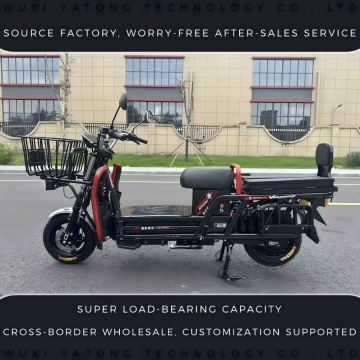 Scooter de carga pesada Gen1 King Power