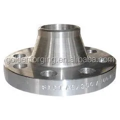 Steel Forging large Flange