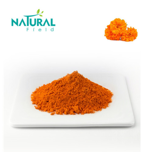  Hot Selling health care ingredients Marigold Extract 20% Lutein Powder with Eyes Protection Manufactory